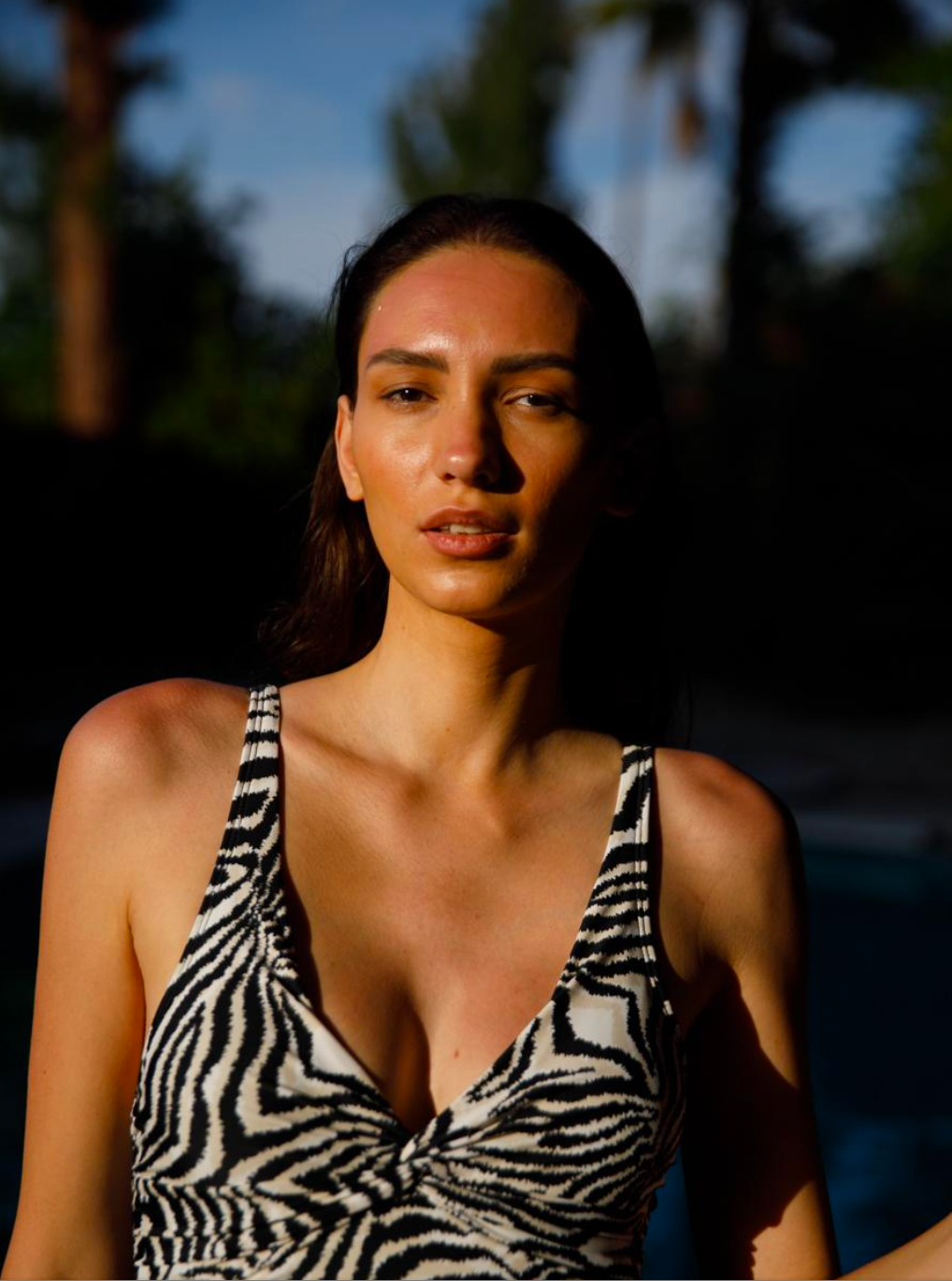 Panos Emporio Recycled V Neck Simi Shaping Swimsuit, Zebra