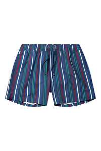 Classic pinstripe Swim Shorts - Poseidon