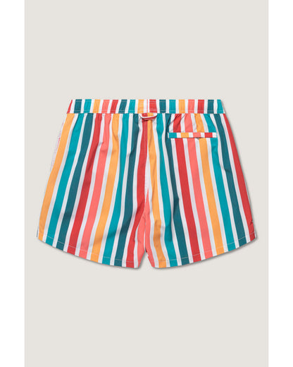 The Classic Swim Shorts – Multistripe